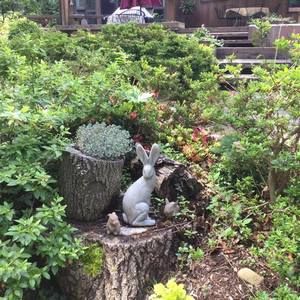 Meet your Posher, Rosemarie